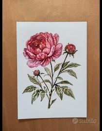  StampaFine Art Peonia – Acquerello originale