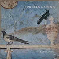 🎶 Dischi LP 33 giri in vinile di poesia