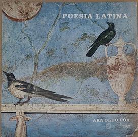 🎶 Dischi LP 33 giri in vinile di poesia