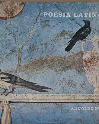 🎶 Dischi LP 33 giri in vinile di poesia