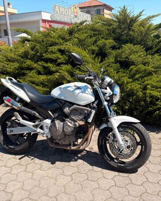 Honda hornet white widow