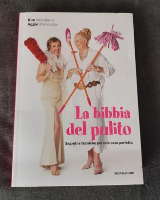 La Bibbia del pulito