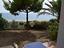 Immagine 8