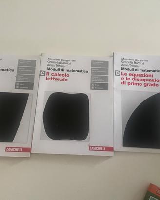 libri scolastici  matematica superiore