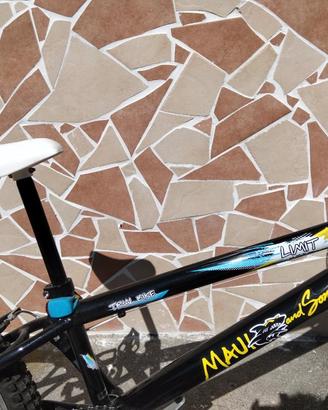 Bike Trial con sellino