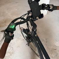 Bicicletta a pedalata assistita