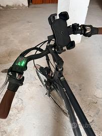 Bicicletta a pedalata assistita