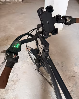 Bicicletta a pedalata assistita