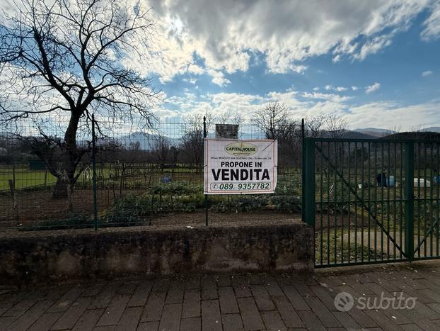 TERRENO AGRICOLO Mercato San Severino (SA)