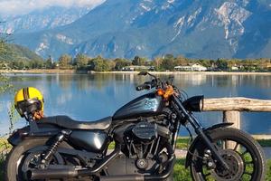 HARLEY DAVIDSON _SPORSTER_ 883 R_ CUSTOM 1200cc