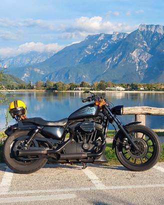 HARLEY DAVIDSON _SPORSTER_ 883 R_ CUSTOM 1200cc