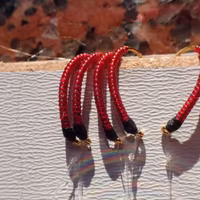 amettiere per coregone lavarello