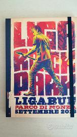 Cd ligabue