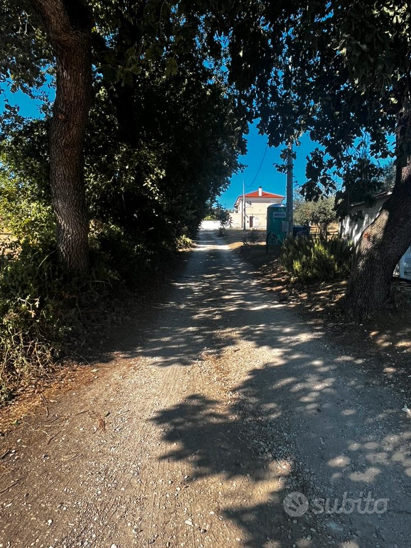 Terreno agricolo - cepagatti - Vista 3