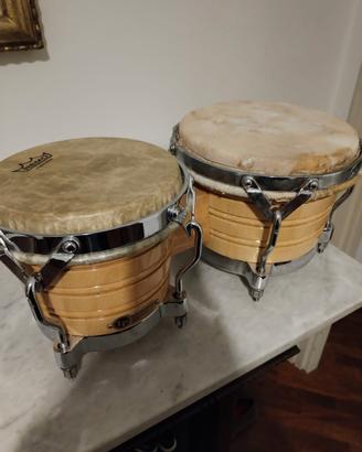 bongos lp