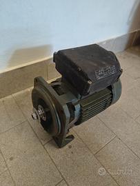 Motore elettrico