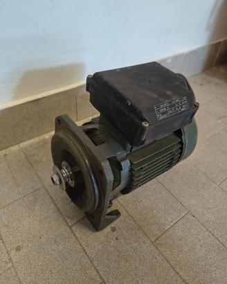 Motore elettrico