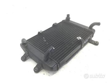 SUZUKI BURGMAN AN 250 RADIATORE LIQUIDO ACQUA RAFF