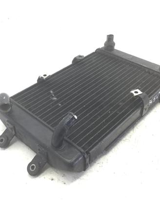 SUZUKI BURGMAN AN 250 RADIATORE LIQUIDO ACQUA RAFF