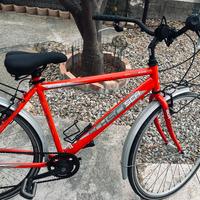 Bicicletta adulto