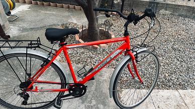 Bicicletta adulto