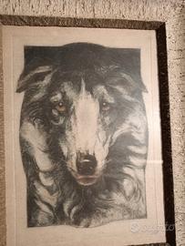 quadro di Pietro Pietra 