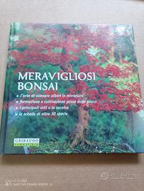 Meravigliosi Bonsai - guida tecnica