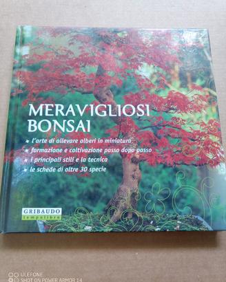 Meravigliosi Bonsai - guida tecnica