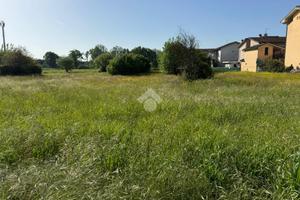 TER. RESIDENZIALE A BUGGIANO