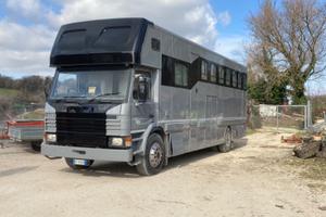 Trasporto cavalli con living