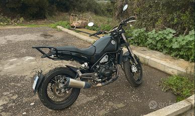 Benelli leanocino 500 trial (2021)