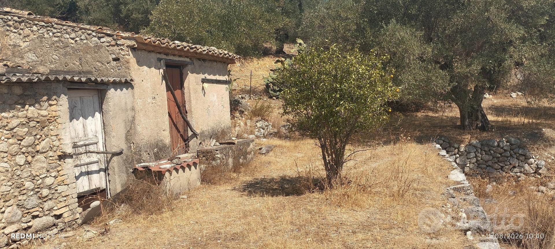 Casetta da ristrutturare + Oliveto (Vista mare) - Vista 2