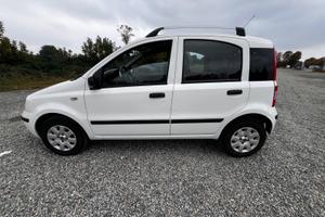 Panda 1,3 multijet 75cv