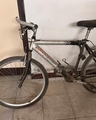 Mountain bike