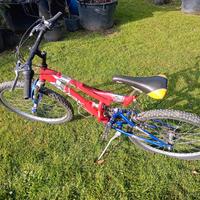 Bici MTB 24 pollici