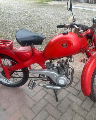 Motom  rosso