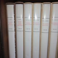 Collezione Libri d' Arte Skira