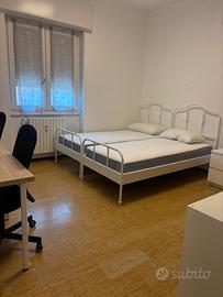 Stanze in appartamento condiviso