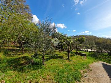 PORZIONE DI BIFAMILIARE A VITERBO