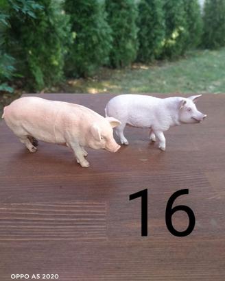 Coppia di maiali della Schleich