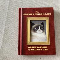 Piccolo libro in inglese Grumpy guide to life