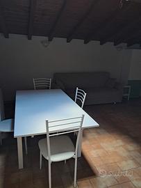 Trilocale ristrutturato ed arredato