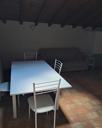 Trilocale ristrutturato ed arredato