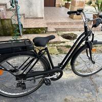 Bici elettrica con rimorchio 2 posti