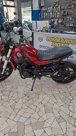 Benelli leoncino