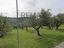 Immagine 7