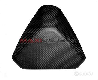 Articoli in carbonio per 1199 Panigale