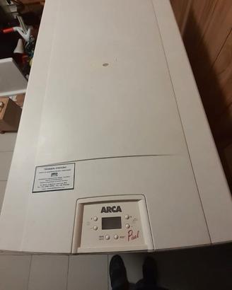 Caldaia  arca  pixel  30kw