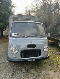 Pasini trasporto animali 1966