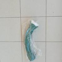 Pennello Girasole Folletto Worwerk